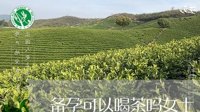 备孕可以喝茶吗女士/2023041661717