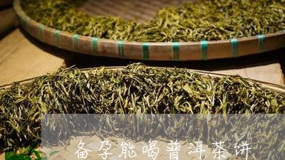 备孕能喝普洱茶饼/2023033198582