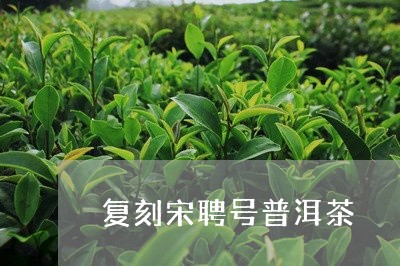 复刻宋聘号普洱茶/2023031657481