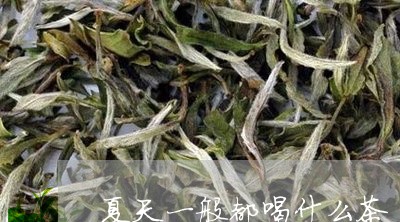 夏天一般都喝什么茶/2023032029493