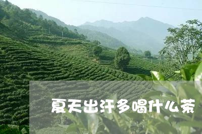 夏天出汗多喝什么茶/2023031960823