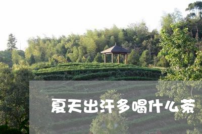 夏天出汗多喝什么茶/2023041501716