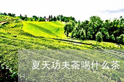 夏天功夫茶喝什么茶/2023041541825