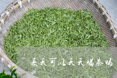 夏天可以天天喝茶吗/2023041694060