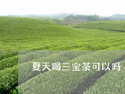 夏天喝三宝茶可以吗/2023041495050