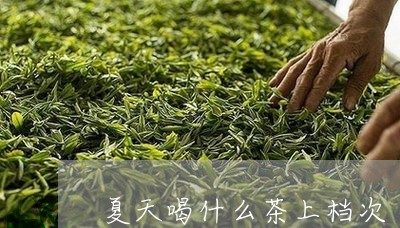 夏天喝什么茶上档次/2023041524250