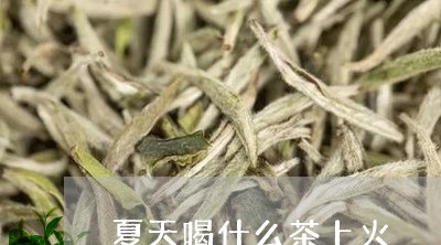 夏天喝什么茶上火/2023032366260