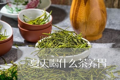 夏天喝什么茶养胃/2023032291627