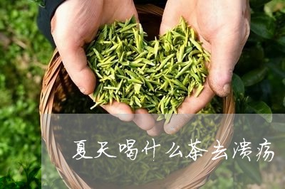 夏天喝什么茶去溃疡/2023041507370