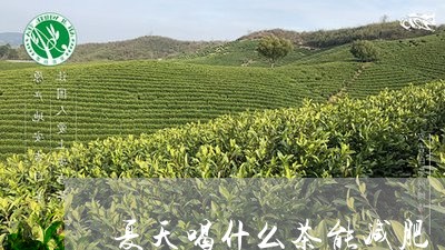 夏天喝什么茶能减肥/2023032073937