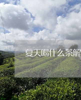 夏天喝什么茶解暑/2023032341404