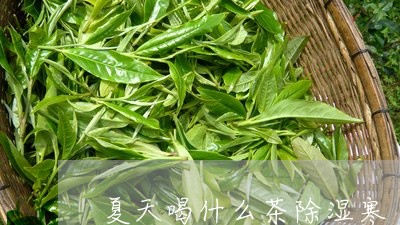 夏天喝什么茶除湿寒/2023032066249