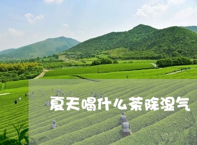 夏天喝什么茶除湿气/2023031986471