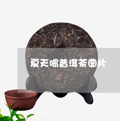 夏天喝普洱茶图片/2023040907268