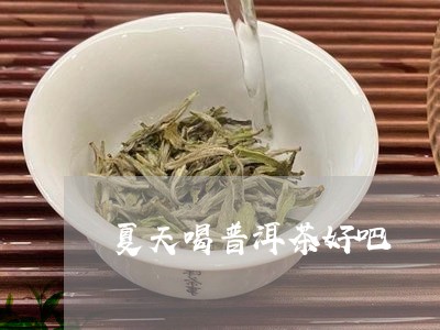 夏天喝普洱茶好吧/2023041063726