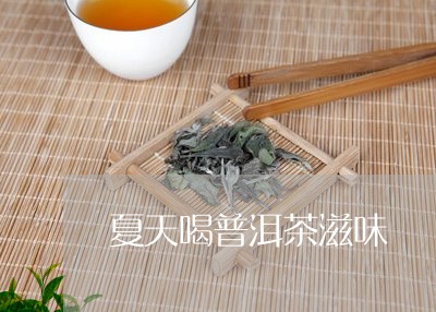 夏天喝普洱茶滋味/2023040912904