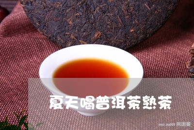 夏天喝普洱茶熟茶/2023031538169