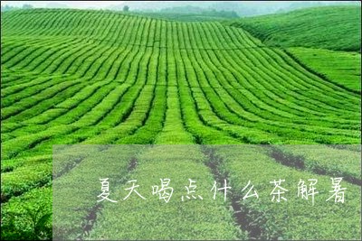 夏天喝点什么茶解暑/2023041563157