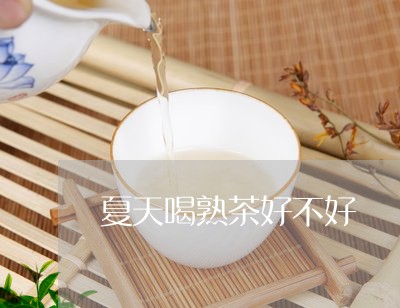 夏天喝熟茶好不好/2023041363047