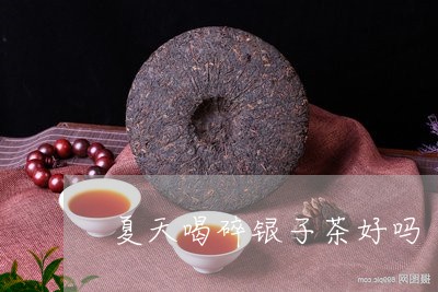 夏天喝碎银子茶好吗/2023041607260