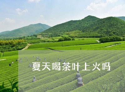 夏天喝茶叶上火吗/2023032608380