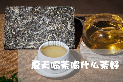 夏天喝茶喝什么茶好/2023041605271