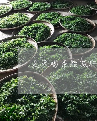 夏天喝茶能减肥吗/2023032586240