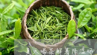 夏天喝茶解暑降温吗/2023041673925