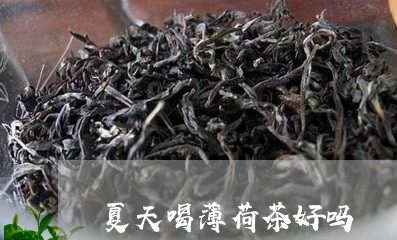 夏天喝薄荷茶好吗/2023032238279