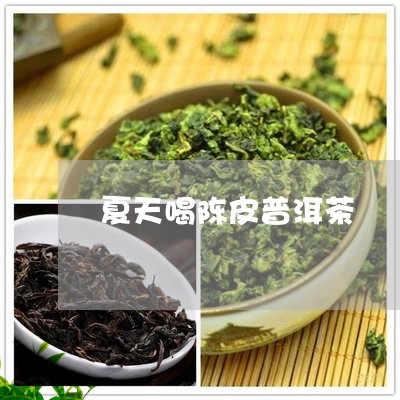 夏天喝陈皮普洱茶/2023040996369