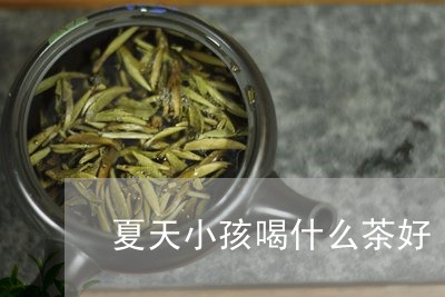 夏天小孩喝什么茶好/2023041662828