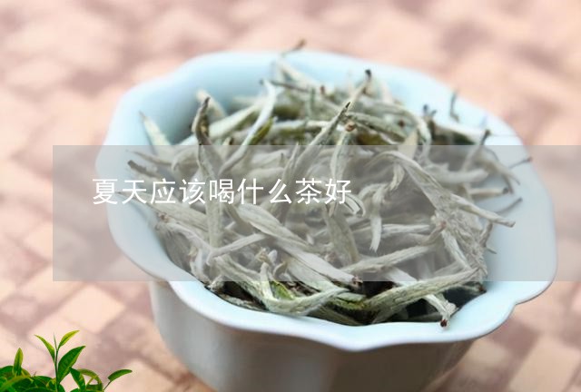 夏天应该喝什么茶好/2023032093025