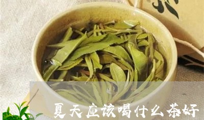 夏天应该喝什么茶好/2023041609683