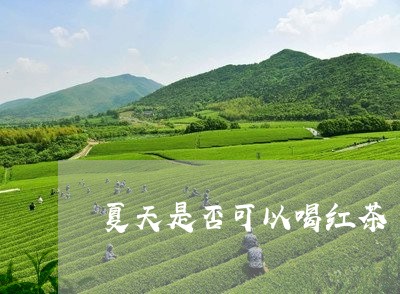 夏天是否可以喝红茶/2023041552838