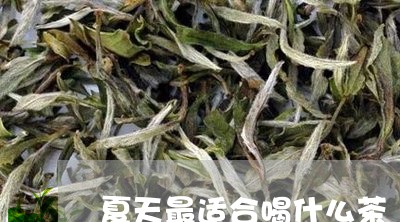 夏天最适合喝什么茶/2023032012827