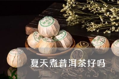 夏天煮普洱茶好吗/2023041457492