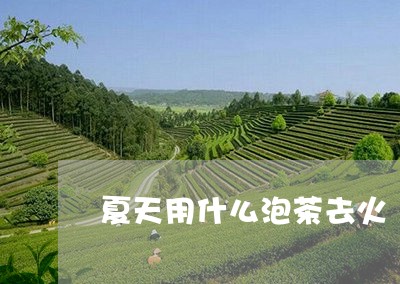 夏天用什么泡茶去火/2023041629591