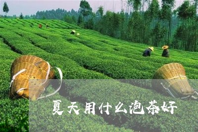 夏天用什么泡茶好/2023032566069