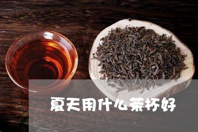 夏天用什么茶杯好/2023032373916