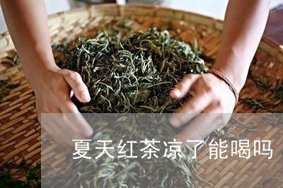 夏天红茶凉了能喝吗/2023041546930