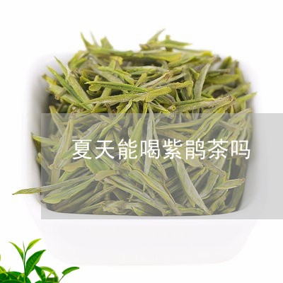 夏天能喝紫鹃茶吗/2023032236251