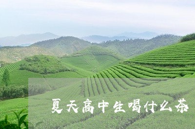 夏天高中生喝什么茶/2023031948370