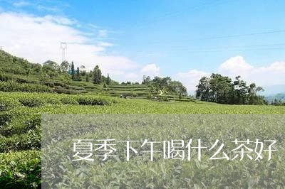 夏季下午喝什么茶好/2023041603139