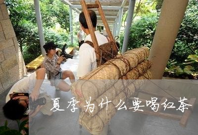 夏季为什么要喝红茶/2023041540727