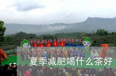 夏季减肥喝什么茶好/2023032096370