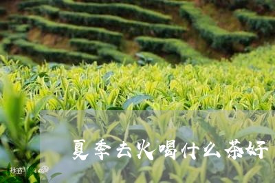 夏季去火喝什么茶好/2023032000593