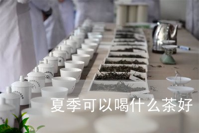 夏季可以喝什么茶好/2023041673030