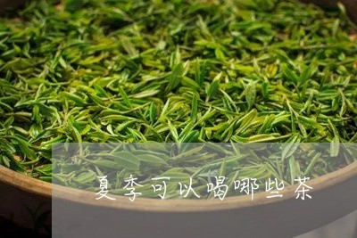 夏季可以喝哪些茶/2023032278393