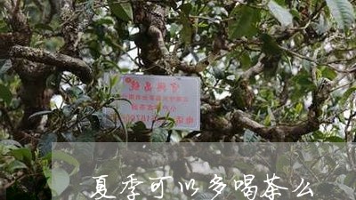 夏季可以多喝茶么/2023032514948