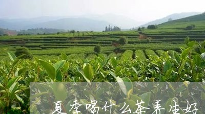 夏季喝什么茶养生好/2023032095148